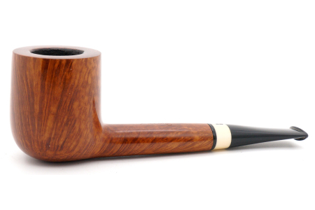 Pipa rodata Ascorti ascr02 Pipa rodata Ascorti ascr02
